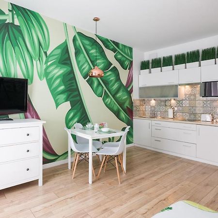 Cozy Modern Studio Green Apartment In Old Town Krakow Bagian luar foto